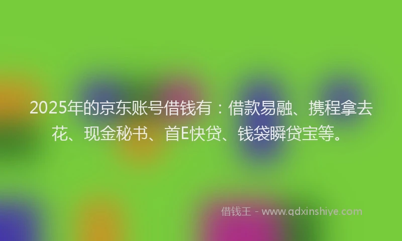 2025年的京东账号借钱有：借款易融、携程拿去花、现金秘书、首E快贷、钱袋瞬贷宝等。