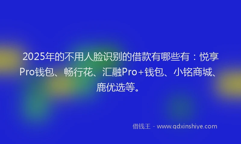 2025年的不用人脸识别的借款有哪些有：悦享Pro钱包、畅行花、汇融Pro+钱包、小铭商城、鹿优选等。