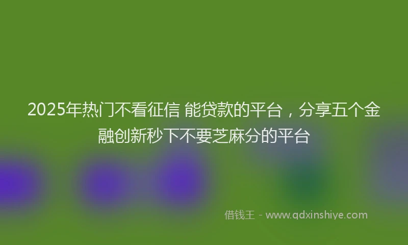 2025年热门不看征信 能贷款的平台，分享五个金融创新秒下不要芝麻分的平台