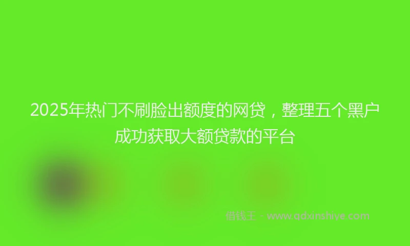 2025年热门不刷脸出额度的网贷，整理五个黑户成功获取大额贷款的平台