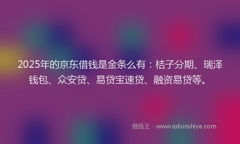 2025年的京东借钱是金条么有：桔子分期、瑞泽钱包、众安贷、易贷宝速贷、融资易贷等。
