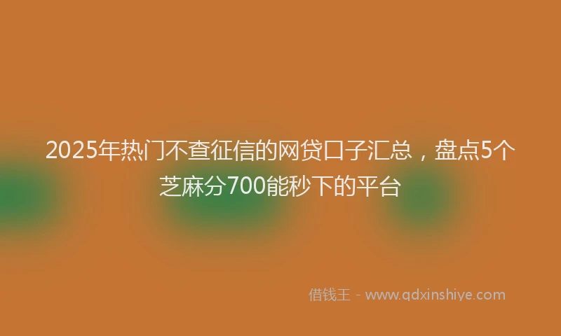 2025年热门不查征信的网贷口子汇总，盘点5个芝麻分700能秒下的平台