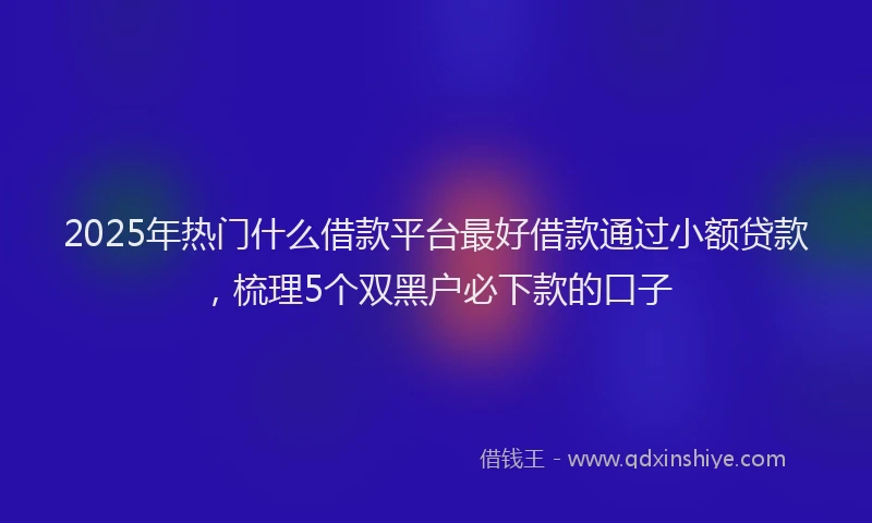 2025年热门什么借款平台最好借款通过小额贷款，梳理5个双黑户必下款的口子