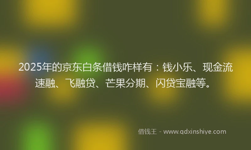 2025年的京东白条借钱咋样有：钱小乐、现金流速融、飞融贷、芒果分期、闪贷宝融等。
