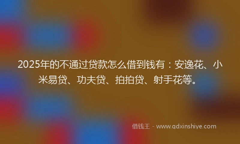 2025年的不通过贷款怎么借到钱有：安逸花、小米易贷、功夫贷、拍拍贷、射手花等。