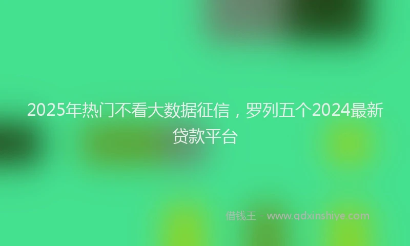 2025年热门不看大数据征信，罗列五个2024最新贷款平台