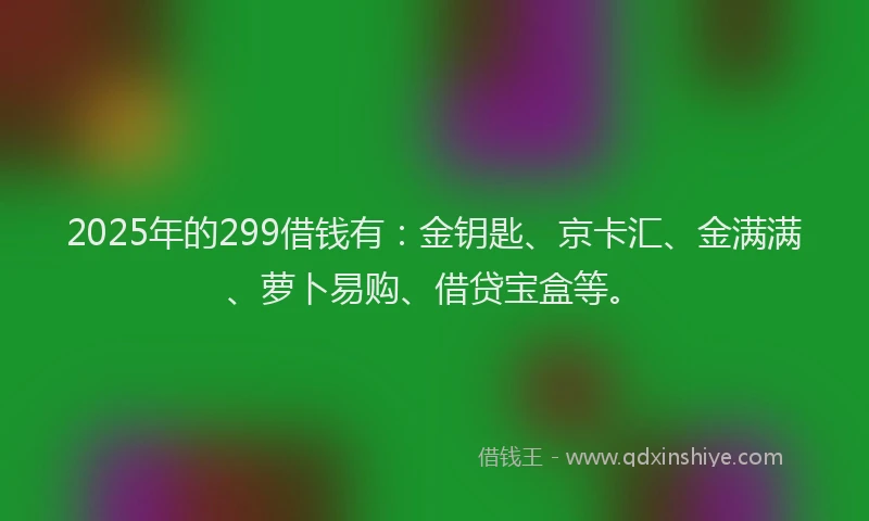 2025年的299借钱有：金钥匙、京卡汇、金满满、萝卜易购、借贷宝盒等。