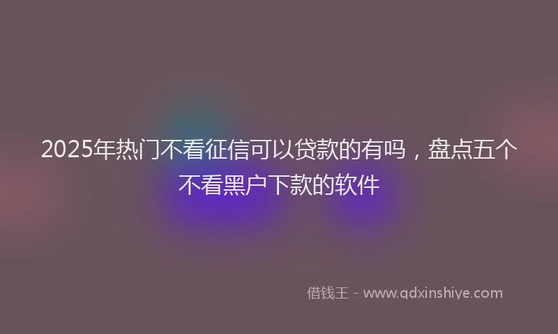 2025年热门不看征信可以贷款的有吗，盘点五个不看黑户下款的软件
