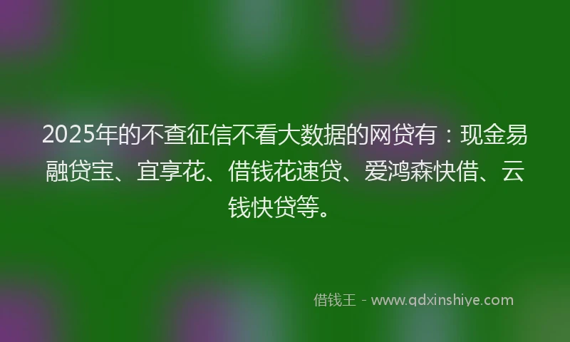 2025年的不查征信不看大数据的网贷有：现金易融贷宝、宜享花、借钱花速贷、爱鸿森快借、云钱快贷等。