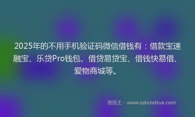 2025年的不用手机验证码微信借钱有：借款宝速融宝、乐贷Pro钱包、借贷易贷宝、借钱快易借、爱物商城等。