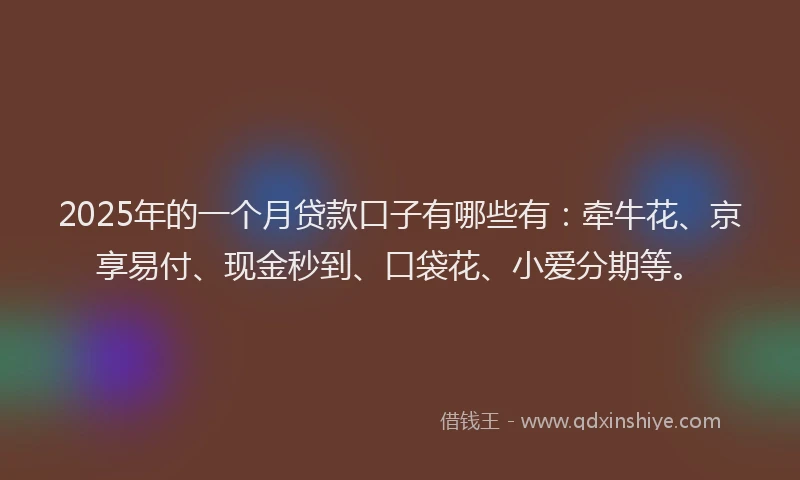 2025年的一个月贷款口子有哪些有：牵牛花、京享易付、现金秒到、口袋花、小爱分期等。