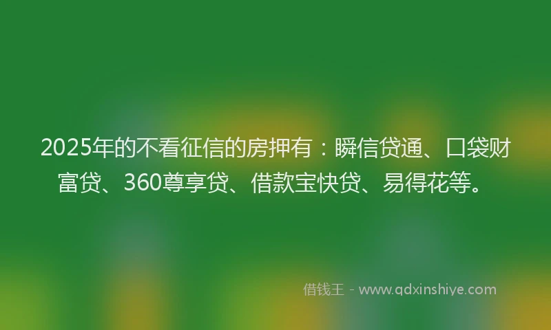 2025年的不看征信的房押有：瞬信贷通、口袋财富贷、360尊享贷、借款宝快贷、易得花等。