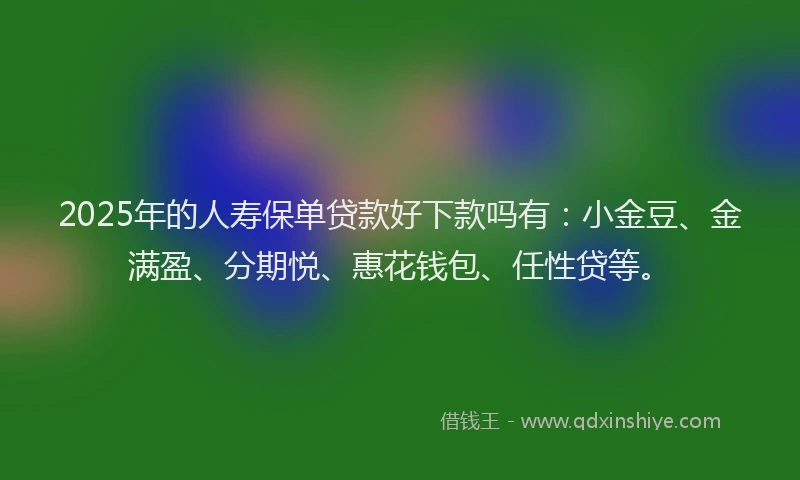 2025年的人寿保单贷款好下款吗有：小金豆、金满盈、分期悦、惠花钱包、任性贷等。