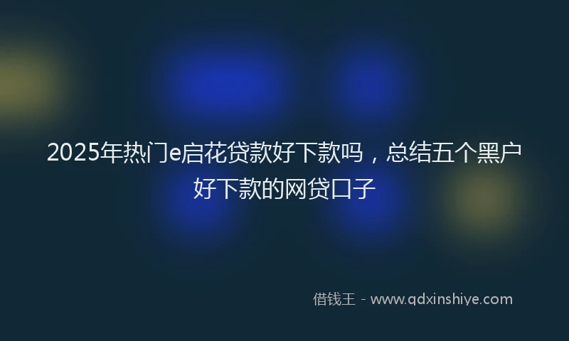 2025年热门e启花贷款好下款吗，总结五个黑户好下款的网贷口子