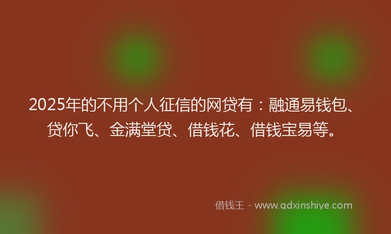 2025年的不用个人征信的网贷有：融通易钱包、贷你飞、金满堂贷、借钱花、借钱宝易等。