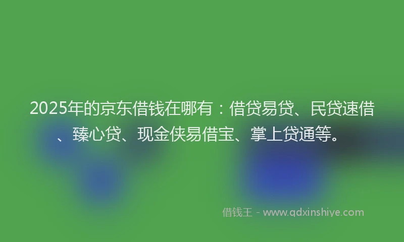 2025年的京东借钱在哪有：借贷易贷、民贷速借、臻心贷、现金侠易借宝、掌上贷通等。