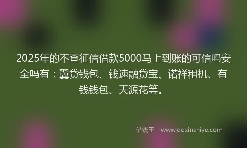 2025年的不查征信借款5000马上到账的可信吗安全吗有：翼贷钱包、钱速融贷宝、诺祥租机、有钱钱包、天源花等。