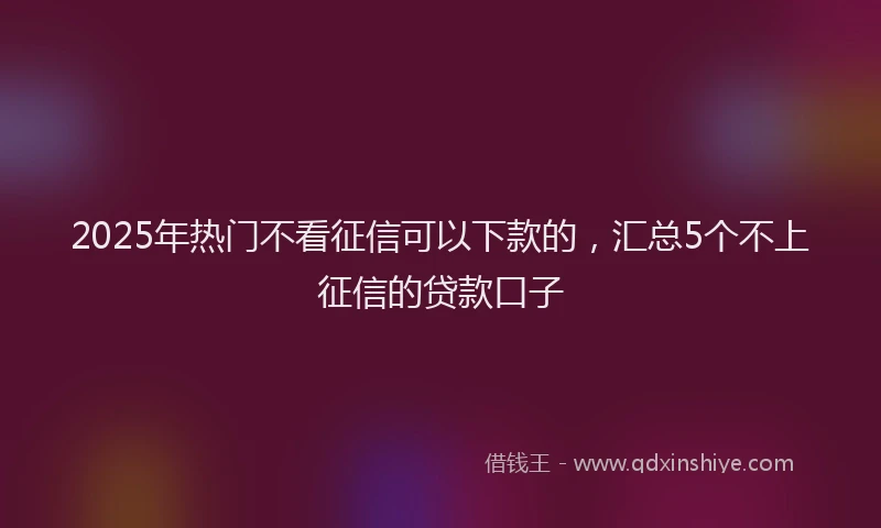 2025年热门不看征信可以下款的，汇总5个不上征信的贷款口子