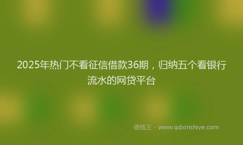2025年热门不看征信借款36期，归纳五个看银行流水的网贷平台