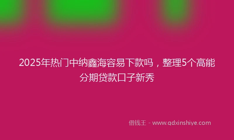 2025年热门中纳鑫海容易下款吗，整理5个高能分期贷款口子新秀