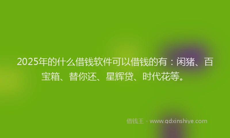 2025年的什么借钱软件可以借钱的有：闲猪、百宝箱、替你还、星辉贷、时代花等。