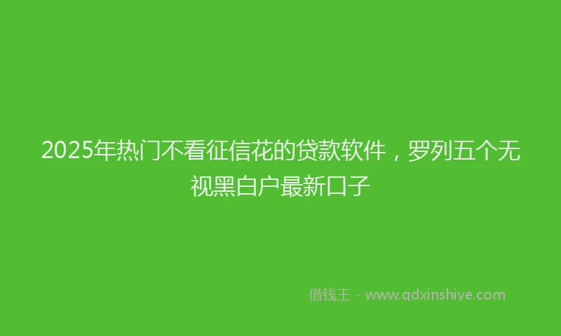 2025年热门不看征信花的贷款软件，罗列五个无视黑白户最新口子