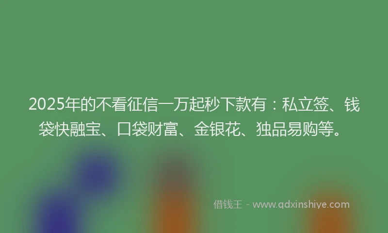 2025年的不看征信一万起秒下款有：私立签、钱袋快融宝、口袋财富、金银花、独品易购等。