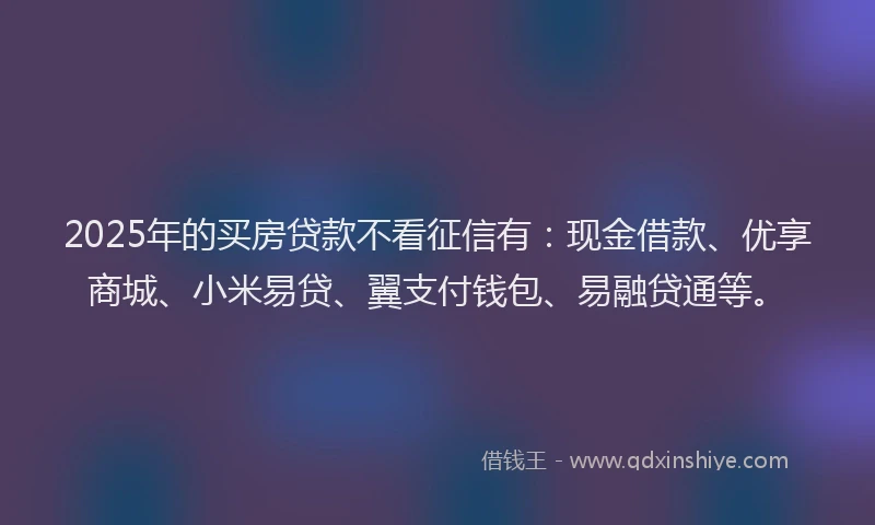 2025年的买房贷款不看征信有：现金借款、优享商城、小米易贷、翼支付钱包、易融贷通等。