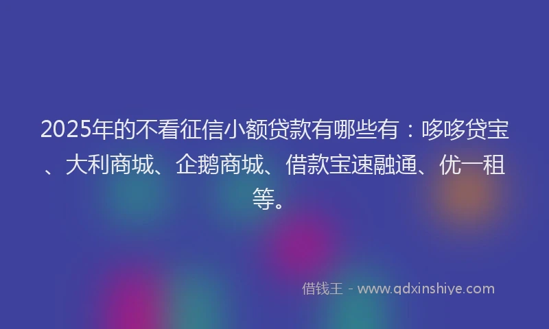 2025年的不看征信小额贷款有哪些有：哆哆贷宝、大利商城、企鹅商城、借款宝速融通、优一租等。