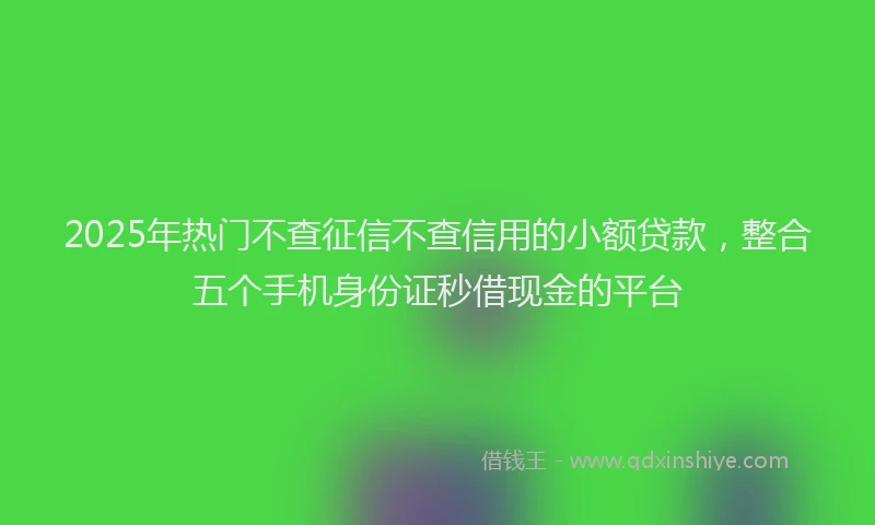2025年热门不查征信不查信用的小额贷款，整合五个手机身份证秒借现金的平台