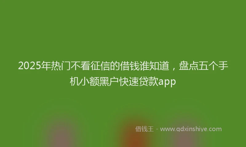2025年热门不看征信的借钱谁知道，盘点五个手机小额黑户快速贷款app