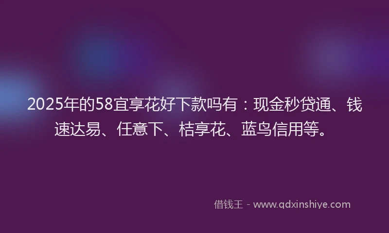 2025年的58宜享花好下款吗有：现金秒贷通、钱速达易、任意下、桔享花、蓝鸟信用等。