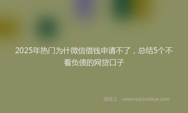 2025年热门为什微信借钱申请不了，总结5个不看负债的网贷口子