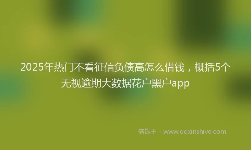 2025年热门不看征信负债高怎么借钱，概括5个无视逾期大数据花户黑户app