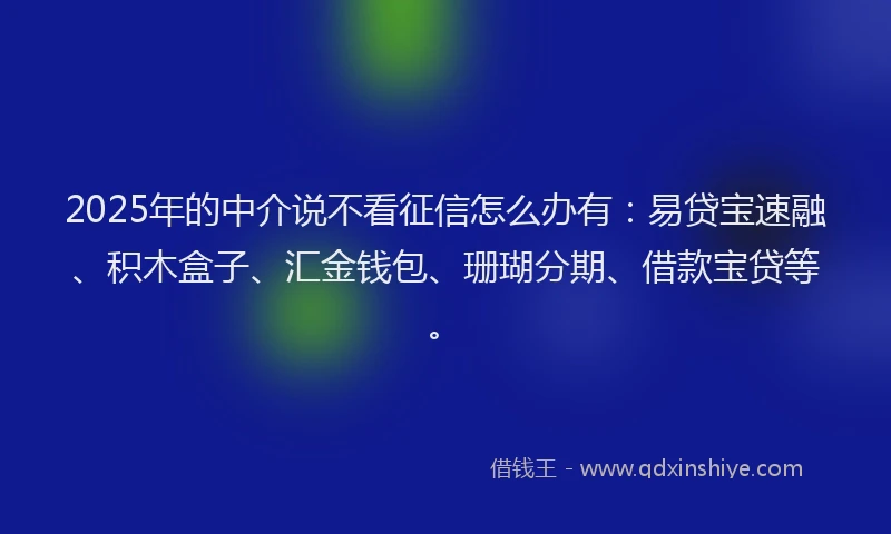 2025年的中介说不看征信怎么办有：易贷宝速融、积木盒子、汇金钱包、珊瑚分期、借款宝贷等。