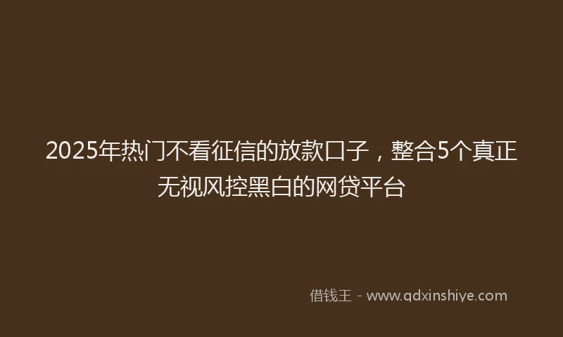 2025年热门不看征信的放款口子，整合5个真正无视风控黑白的网贷平台