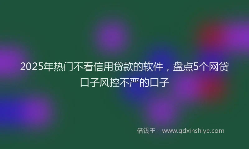 2025年热门不看信用贷款的软件，盘点5个网贷口子风控不严的口子
