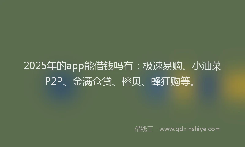2025年的app能借钱吗有：极速易购、小油菜P2P、金满仓贷、榕贝、蜂狂购等。