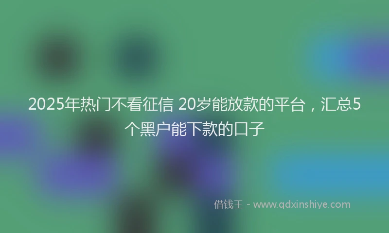 2025年热门不看征信 20岁能放款的平台，汇总5个黑户能下款的口子