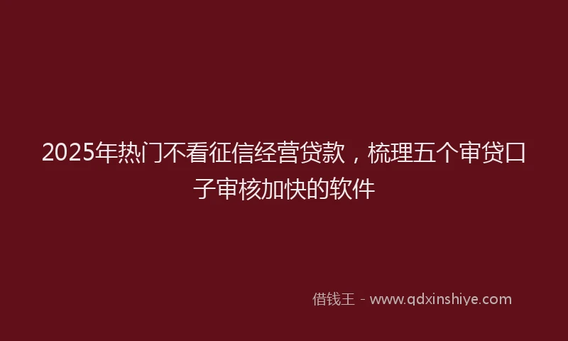 2025年热门不看征信经营贷款，梳理五个审贷口子审核加快的软件