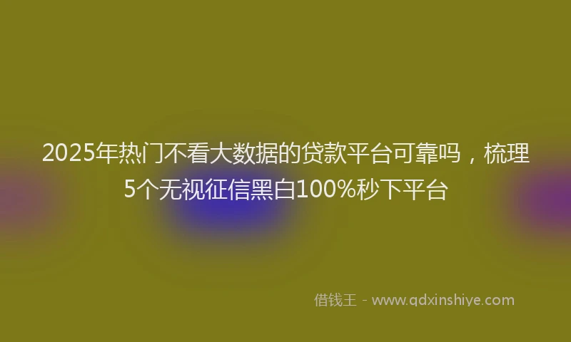 2025年热门不看大数据的贷款平台可靠吗，梳理5个无视征信黑白100%秒下平台