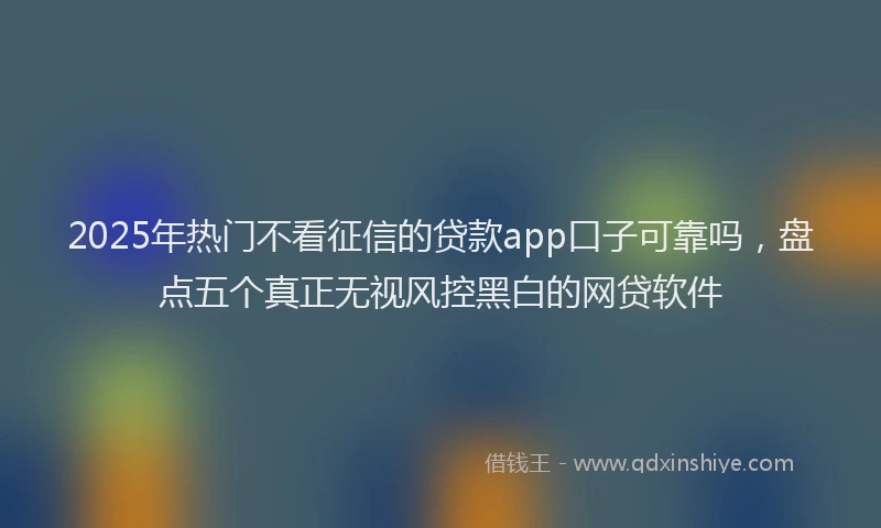 2025年热门不看征信的贷款app口子可靠吗，盘点五个真正无视风控黑白的网贷软件