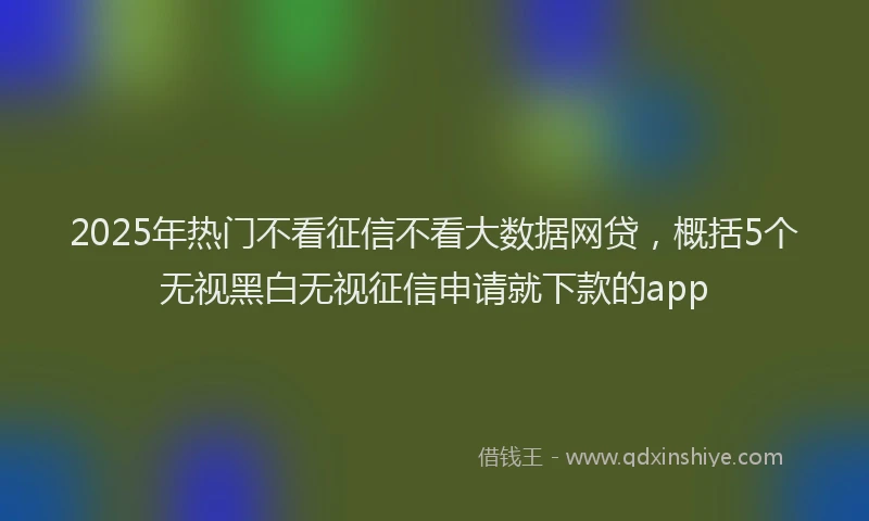 2025年热门不看征信不看大数据网贷，概括5个无视黑白无视征信申请就下款的app