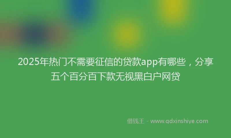 2025年热门不需要征信的贷款app有哪些，分享五个百分百下款无视黑白户网贷
