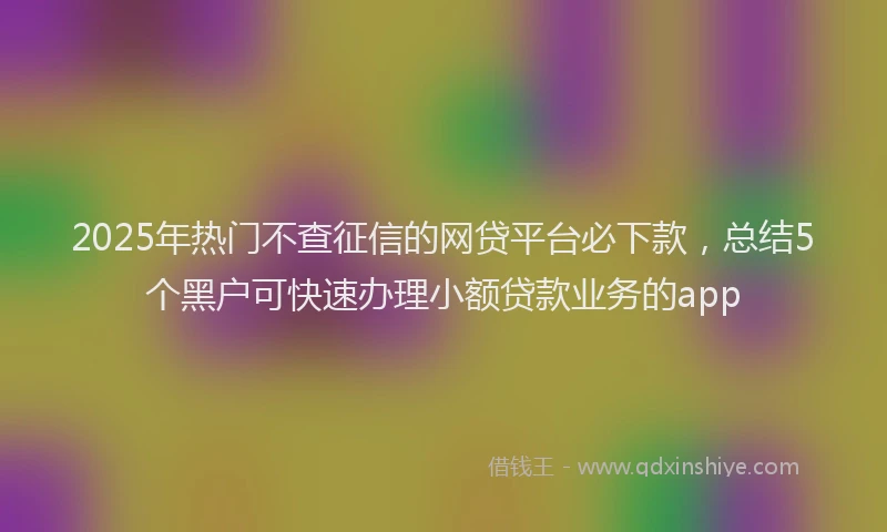 2025年热门不查征信的网贷平台必下款，总结5个黑户可快速办理小额贷款业务的app