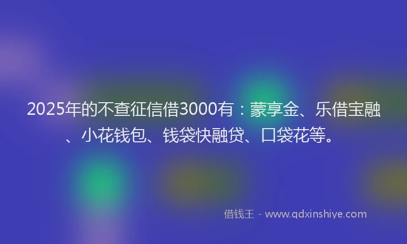 2025年的不查征信借3000有：蒙享金、乐借宝融、小花钱包、钱袋快融贷、口袋花等。