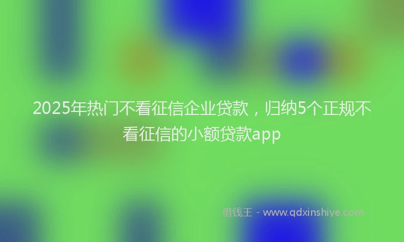 2025年热门不看征信企业贷款，归纳5个正规不看征信的小额贷款app