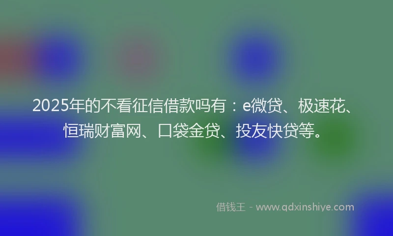 2025年的不看征信借款吗有：e微贷、极速花、恒瑞财富网、口袋金贷、投友快贷等。