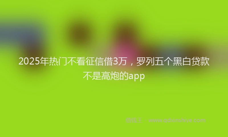 2025年热门不看征信借3万，罗列五个黑白贷款不是高炮的app