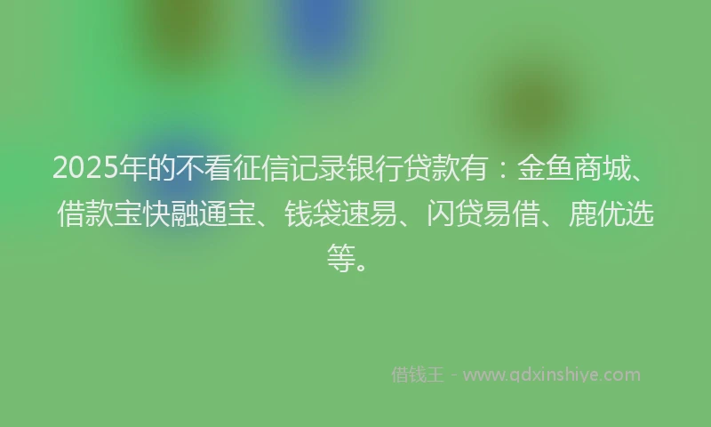 2025年的不看征信记录银行贷款有：金鱼商城、借款宝快融通宝、钱袋速易、闪贷易借、鹿优选等。